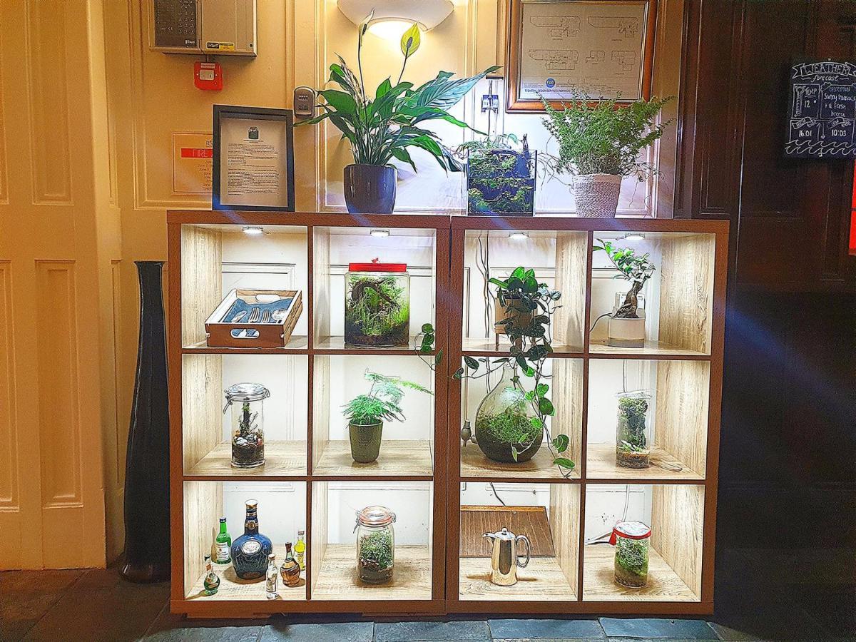 The Red Lion Hotel Кромър Екстериор снимка A selection of closed terrarium systems